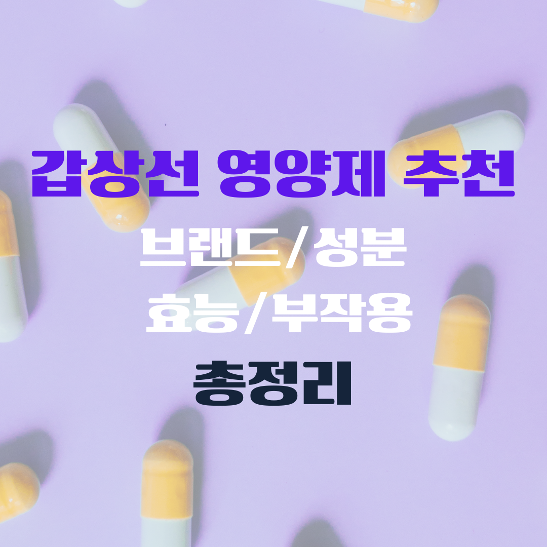 갑상선 영양제 추천 브랜드 성분 효능 부작용 총정리
