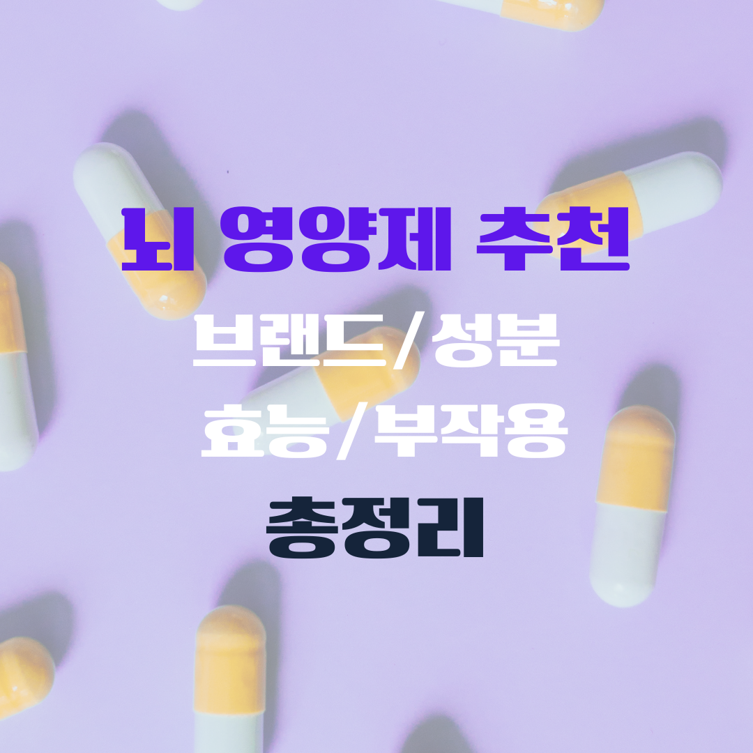 뇌 영양제 추천 브랜드 성분 효능 부작용 총정리