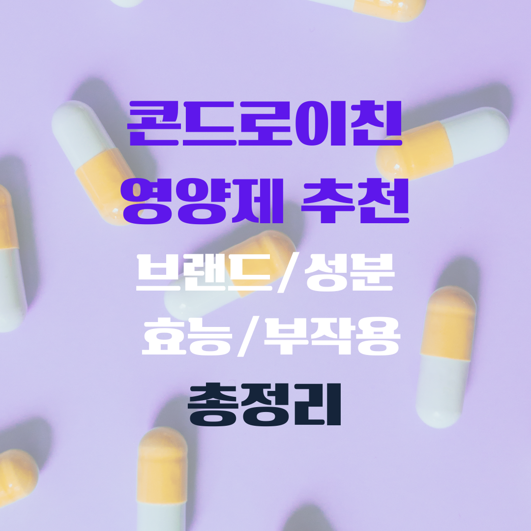 콘드로이친 영양제 추천 브랜드 성분 효능 부작용 총정리