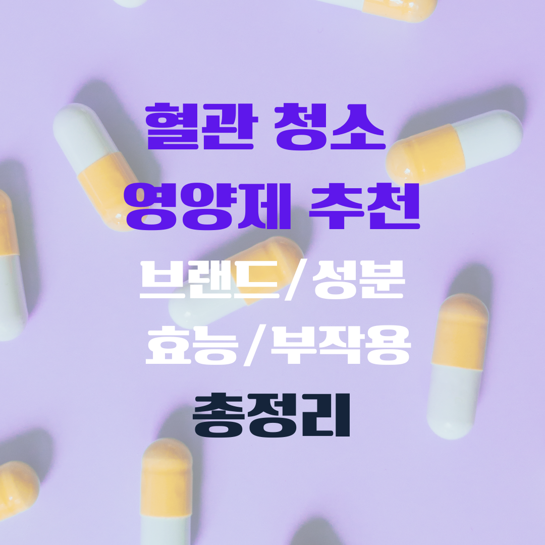 혈관 청소 영양제 추천 브랜드 성분 효능 부작용 총정리